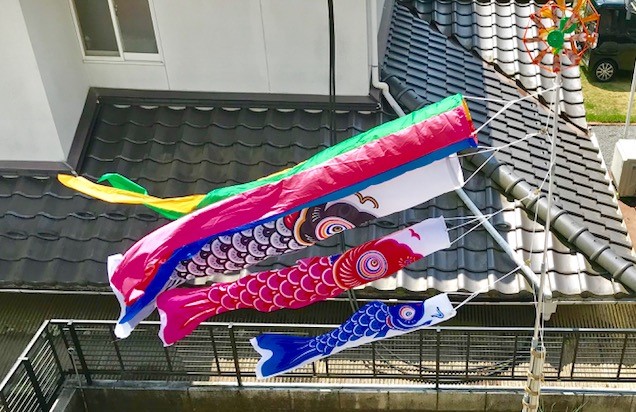 鯉のぼり