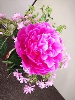 芍薬