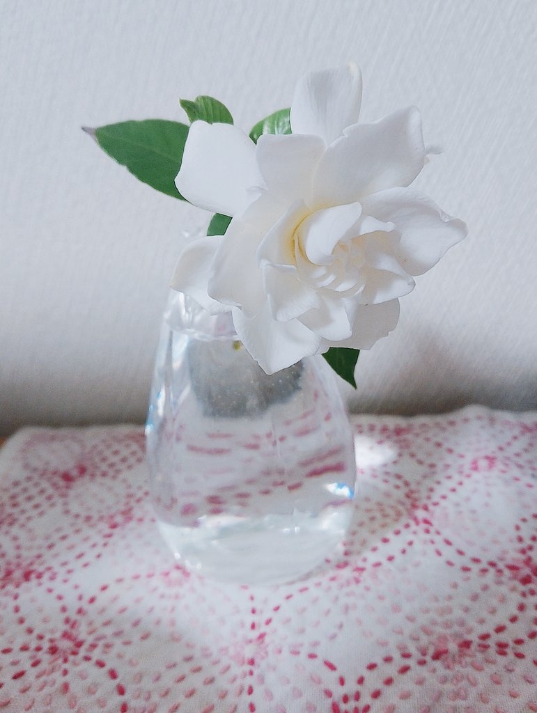 クチナシの花
