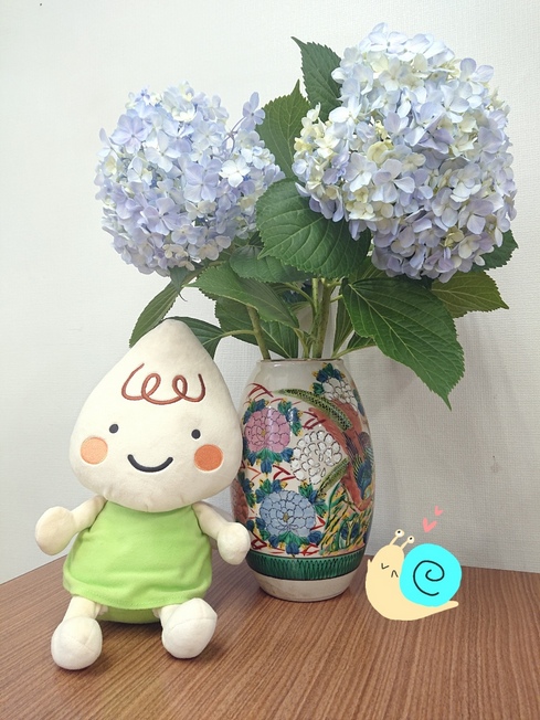 あじさい